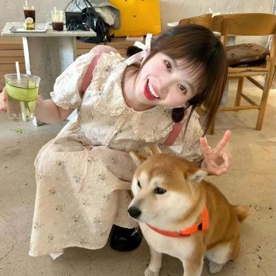 极秘搜查